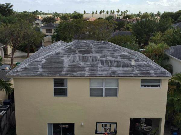 Apple Roof Cleaning Tampa Florida