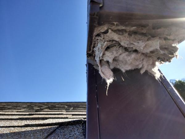 All American Gutter Tech and Dryer Vent Cleaning Inc