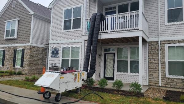 Integrity Pest Solutions