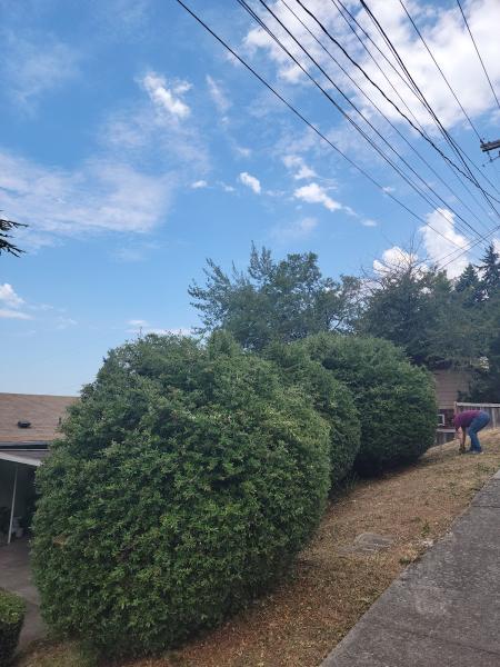 Yard Masters Landscape Maintenance