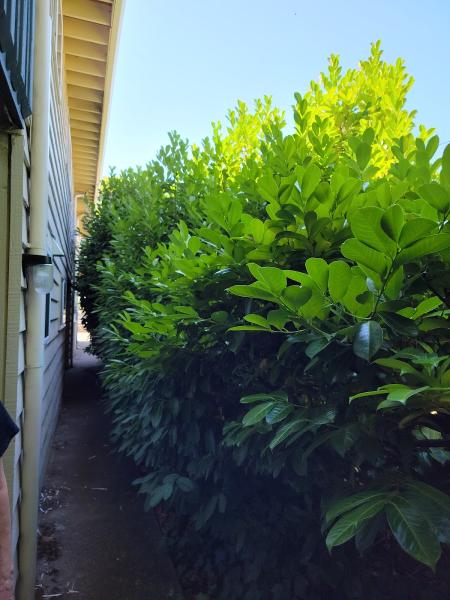 Yard Masters Landscape Maintenance