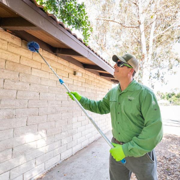 Verde Environmental & Pest Management