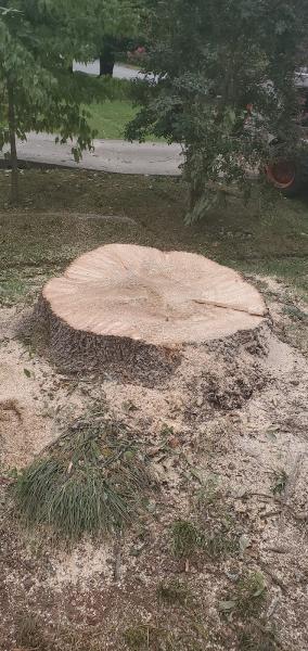 Elevational Heights Tree Care LLC