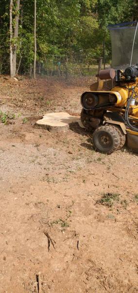 Elevational Heights Tree Care LLC