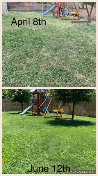 Marshall Lawn Solutions