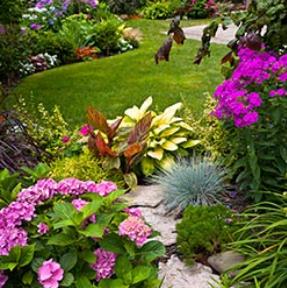 Marcello Pena Landscapes Contractor
