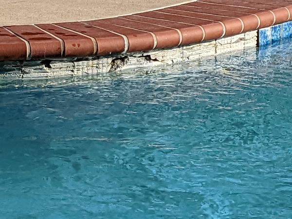 Kurt Custom Pools