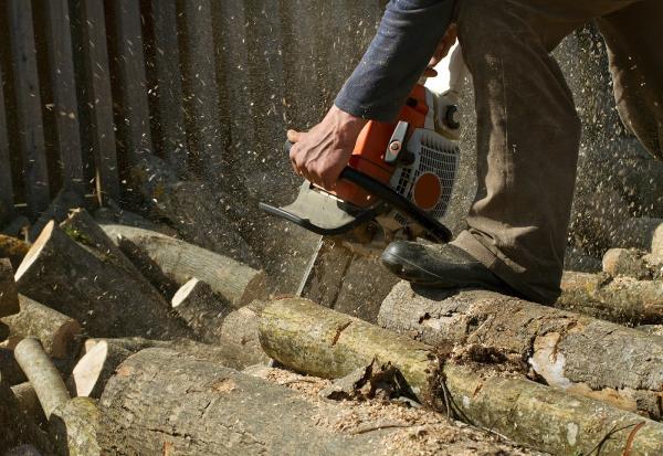 JP Trees LLC