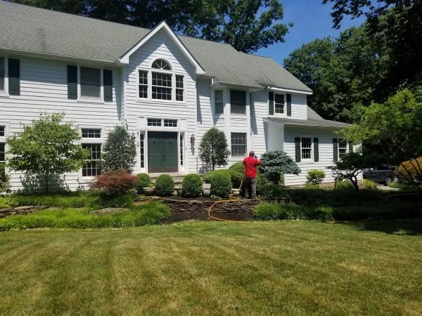 Bucks County Termite and Pest Control