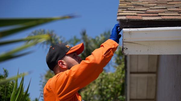 Dr Termites