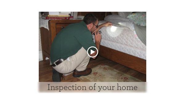 Diegel Bed Bug Exterminator Toledo
