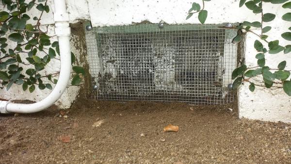 Newman Termite & Pest Control