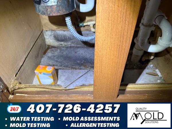 Quality Mold Solutions