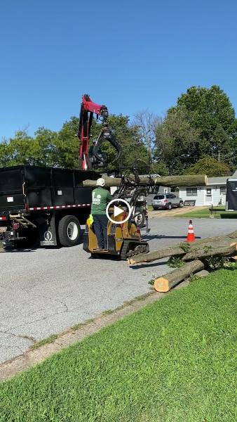 Daniel's Lawn & Tree LLC