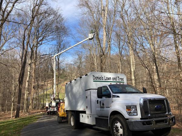 Daniel's Lawn & Tree LLC
