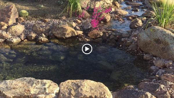 Tranquil Oasis Landscapes