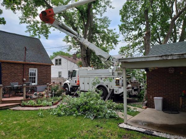 MAC Tree Management and Construction LLC