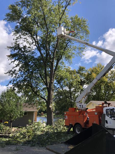 MAC Tree Management and Construction LLC