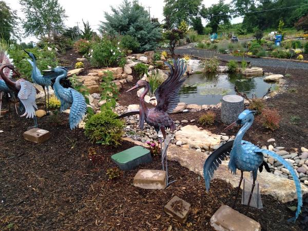 Pond Country