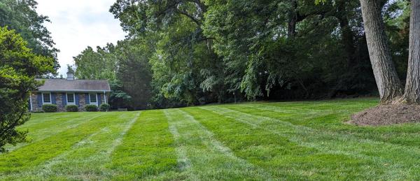 Custom Care Lawn & Property Services Inc