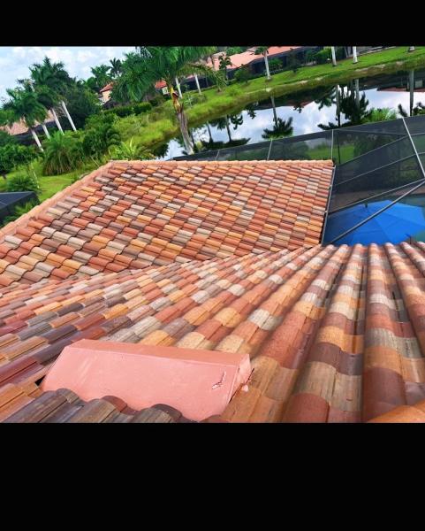 Blue Shark Pressure Cleaning LLC