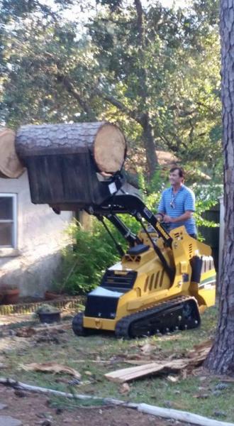 Skywalker Tree Co