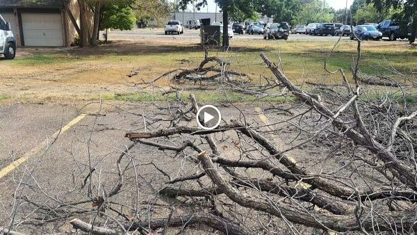 Lubbock Landscaping