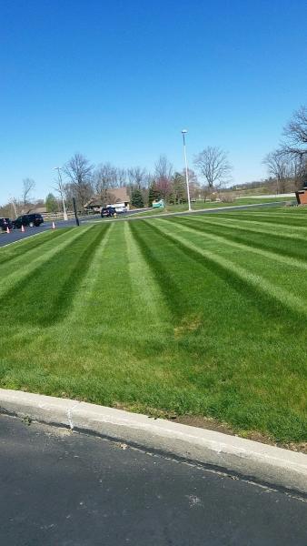 New Life Lawn & Landscape