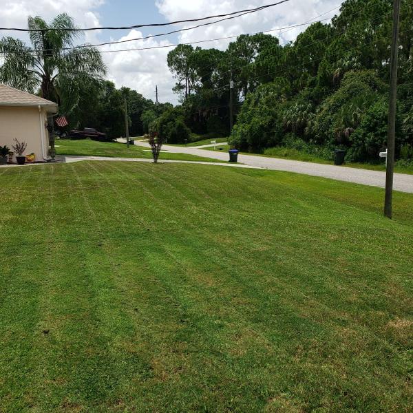Asap Lawn Care and Junk Removal LLC