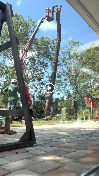 O'Neil's Tree Service