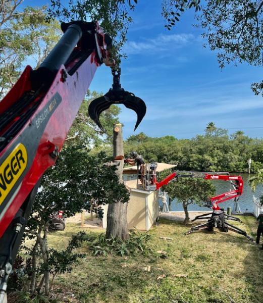 O'Neil's Tree Service