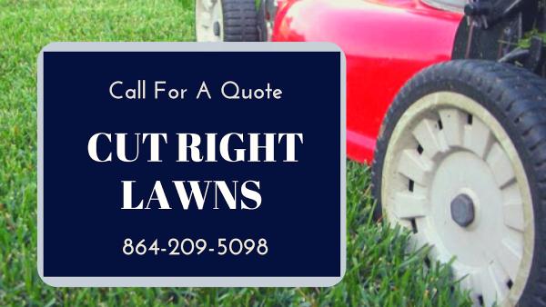 Cut Right Lawns and Services