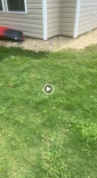 Cut Right Lawns and Services