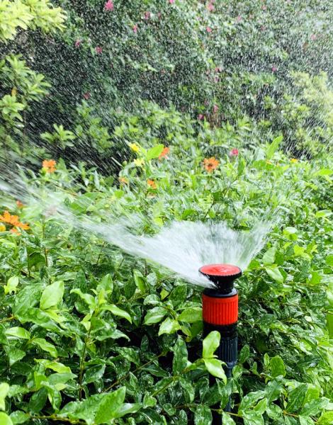 Layton Sprinklers