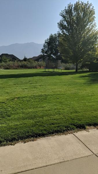 Layton Sprinklers