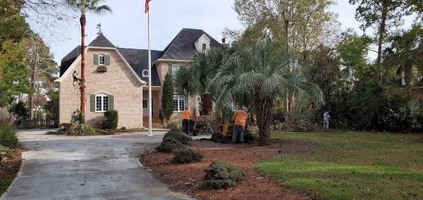 Andrus Tree Services