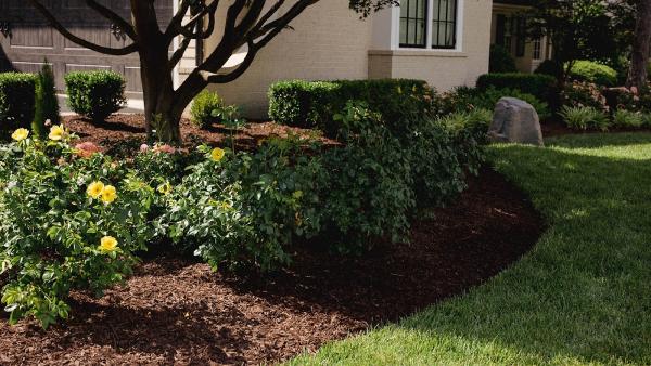 Jernigan Landscaping LLC