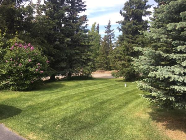 Last Frontier Lawn Company