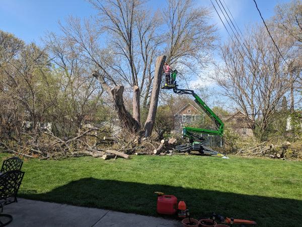 Midwest Tree & Landscape LLC