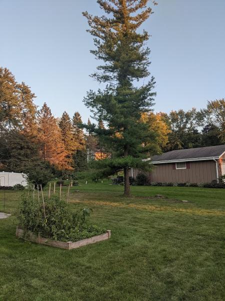 Midwest Tree & Landscape LLC