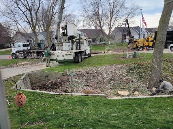 Top Notch Tree Service