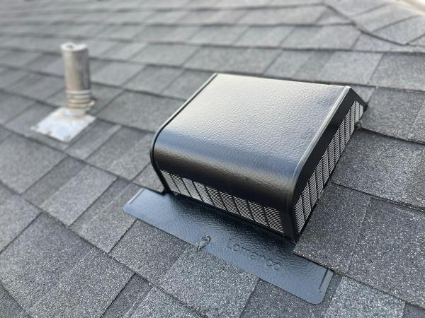 Moldar Roofing