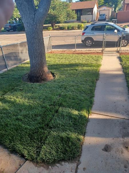 M & T Landscaping & Lawn Svc LLC