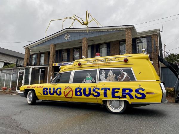 Bug Busters