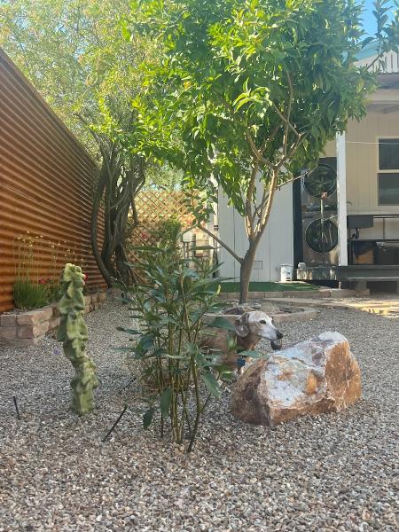 Ocotillo Outdoor Design LLC