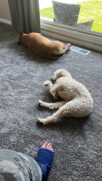 In and Out Floors