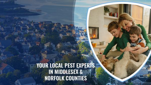 Assurance Pest Solutions