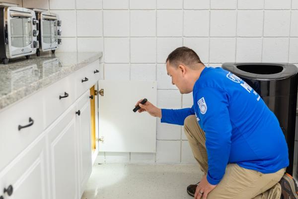 Assurance Pest Solutions