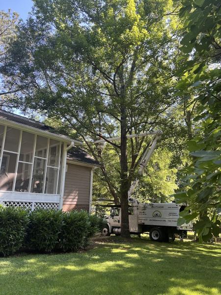 AKA Tree Service