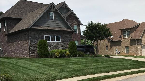 Cameron's Mowing Plus
